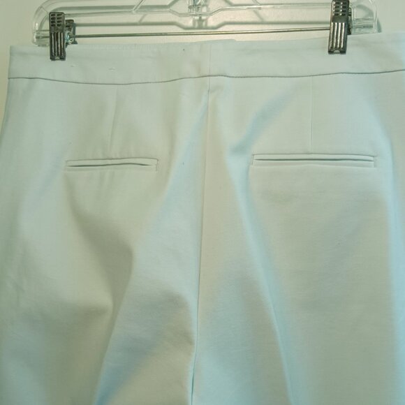Ann Taylor Stretch Cotton Cuffed High Waist Flat Front Pants Size 10 Ice Blue - Picture 3 of 5